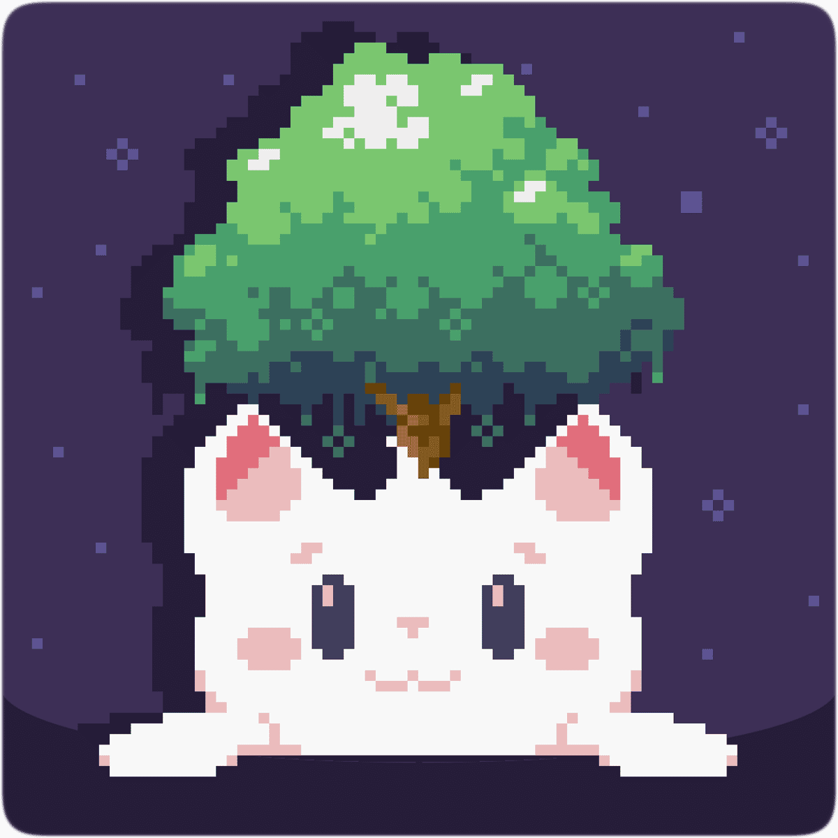 CAT BIRD