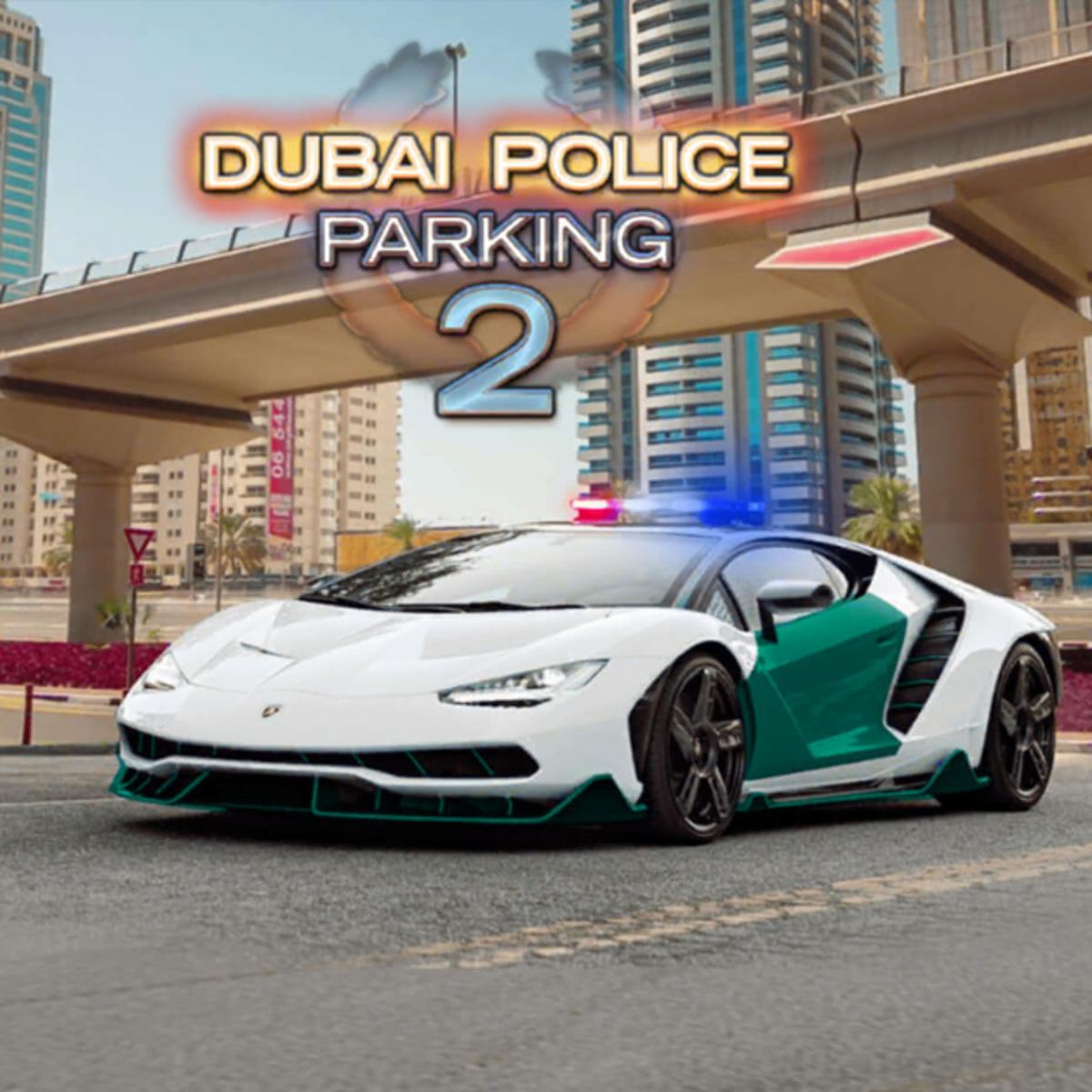 DUBAI POLICE PARKING 2
