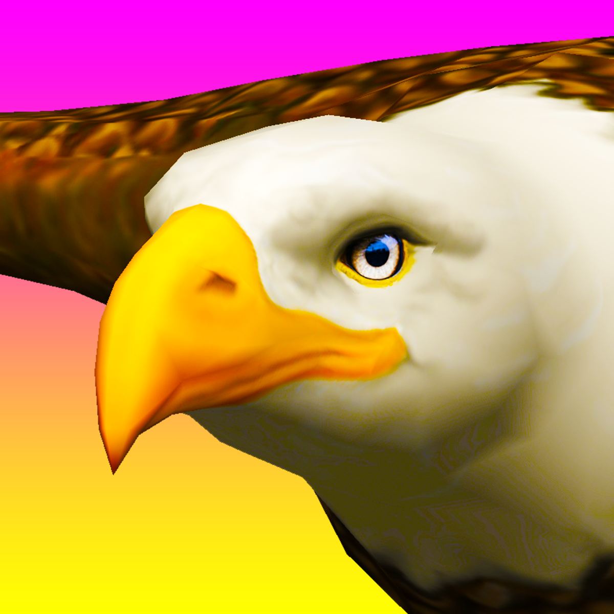EAGLE RIDE