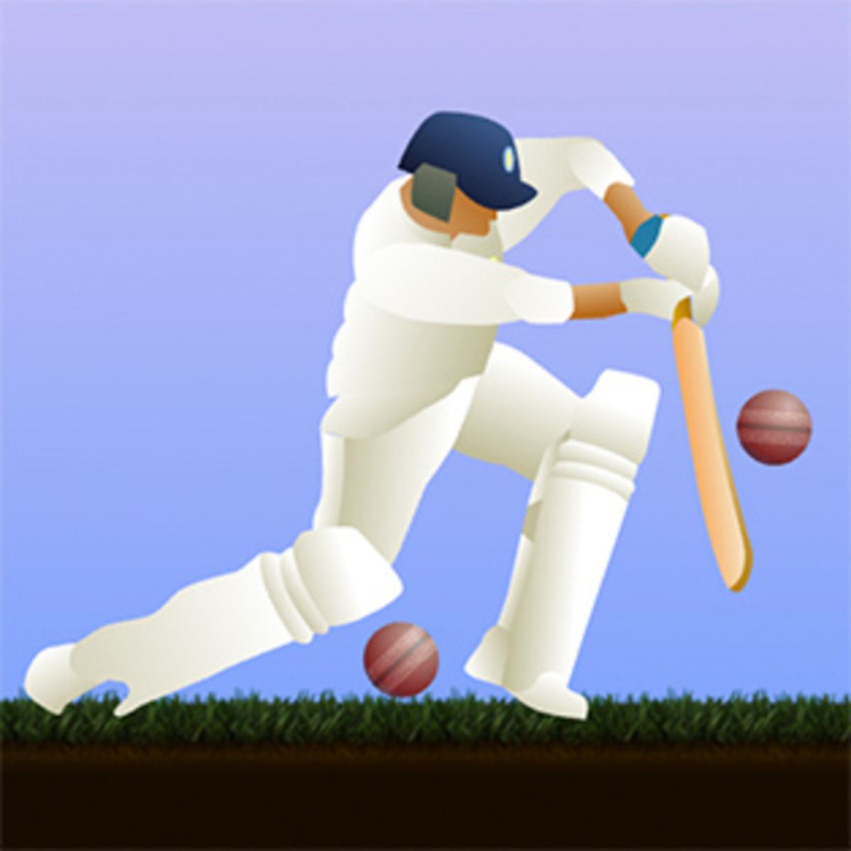 LITTLE MASTER CRICKET