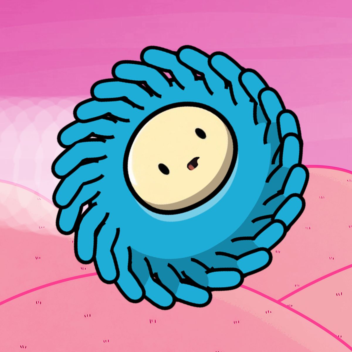 MOPHEAD DASH