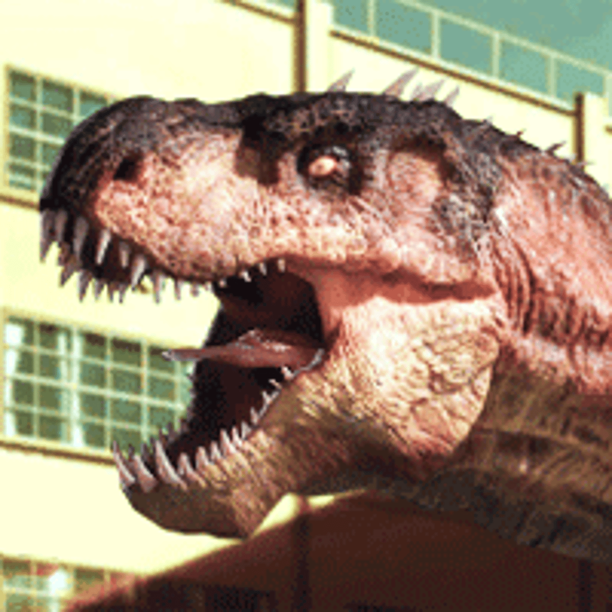 RIO REX